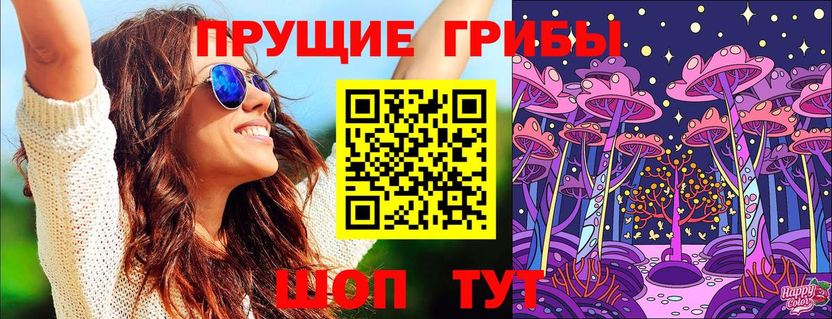 Галлюциногенные грибы Psilocybe Усолье-Сибирское